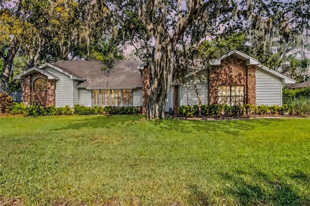 Currently Displayed Property Photo